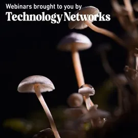 Psychedelics webinar 