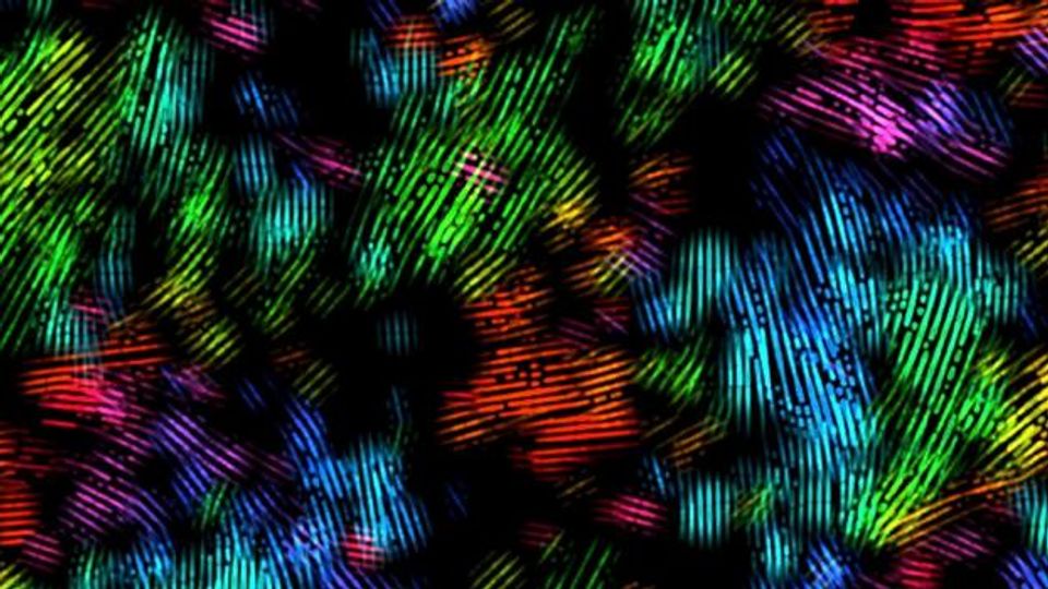 Representative map visualizes the direction of polymer chains in edge-on crystallites.