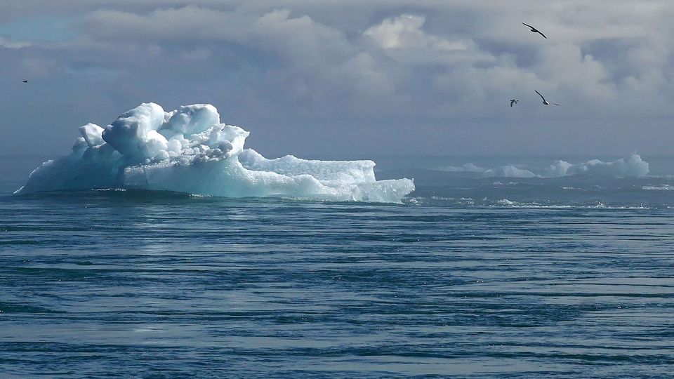 Melting iceburg