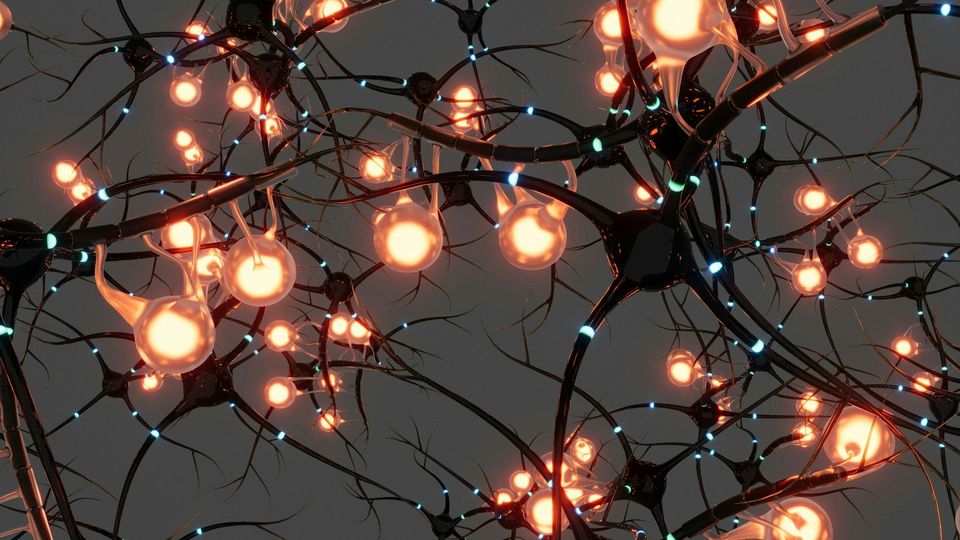 Neurons with connections reaching between.