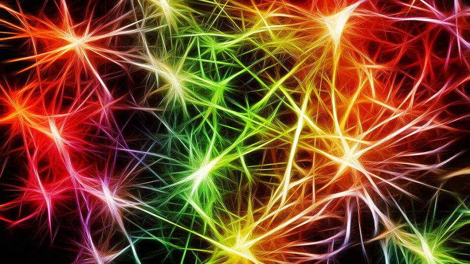 Multi-colored neurons in the brain