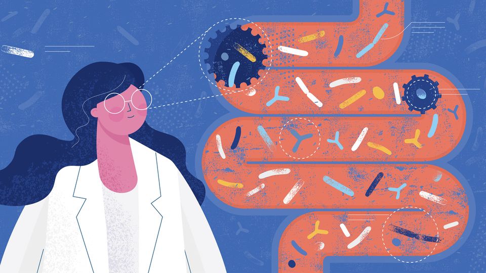 A cartoon of a researcher looking at the gut microbiome.