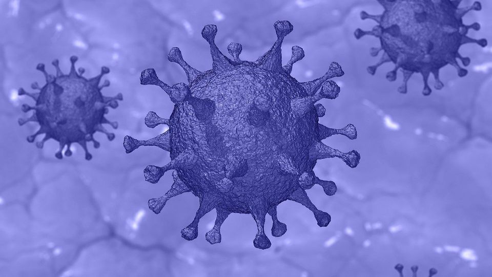 COVID-19 virus