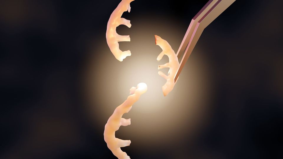 Double helix structure of DNA.