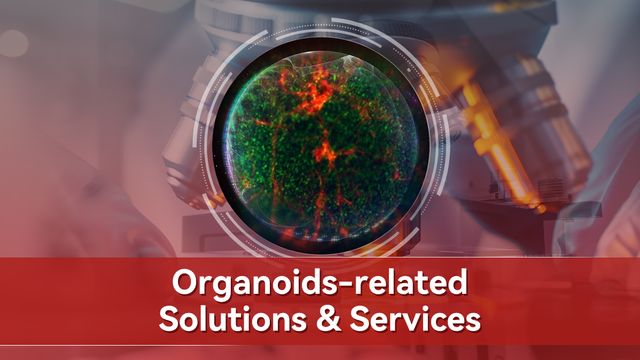 Enhancing Organoid Research With Integrated Solutions | Technology Networks