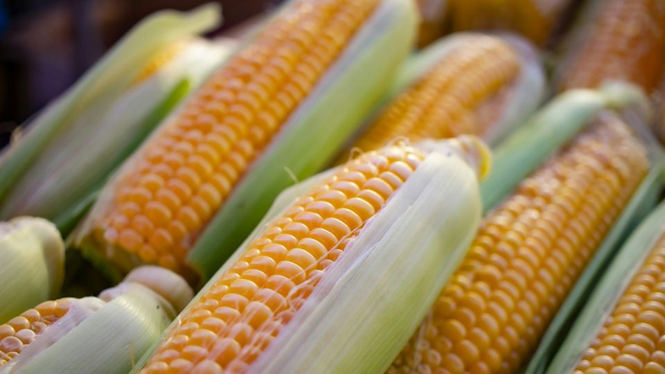 Corn at a market.