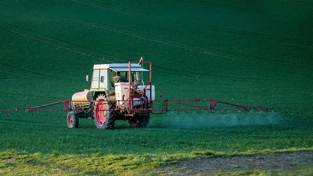 A red and green tractor sprays pesticides over green crops.