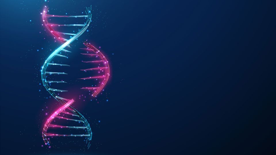 A blue and pink strand of DNA with one section being removed.