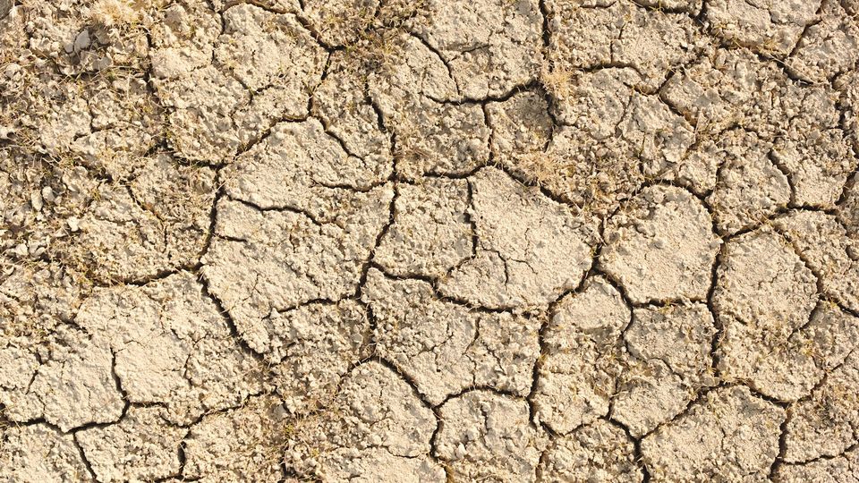 The surface of the earth is cracked, dry and pale.