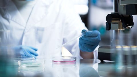 Cell Lines: Current Challenges in Cell Line Development for Therapeutics 