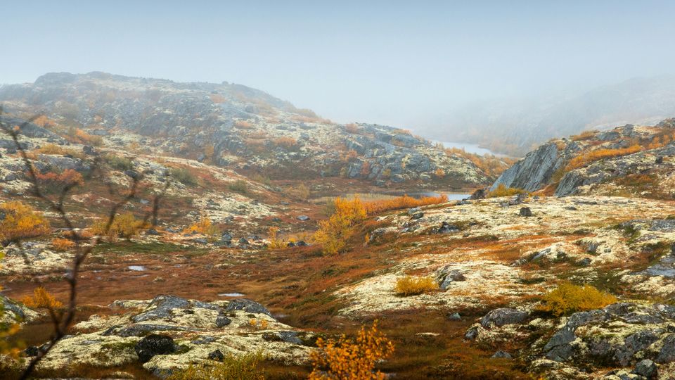 Arctic Russian tundra.