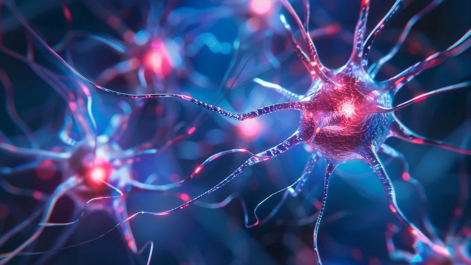 A neuron, illustrated to look like it's glowing.