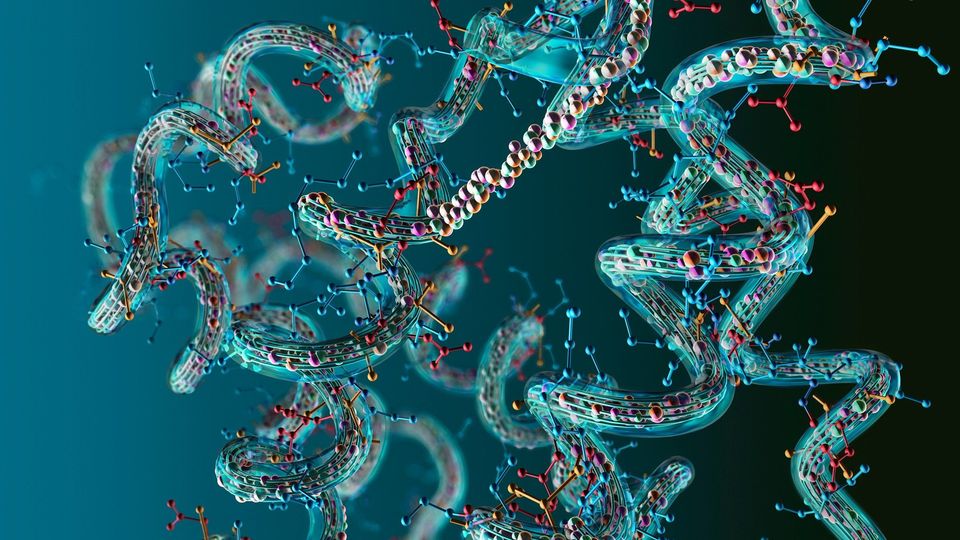 Protein structure.