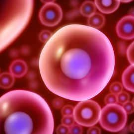 Digital illustration of single cells under microscopic analysis, highlighting advancements in imaging for cellular diagnostics 