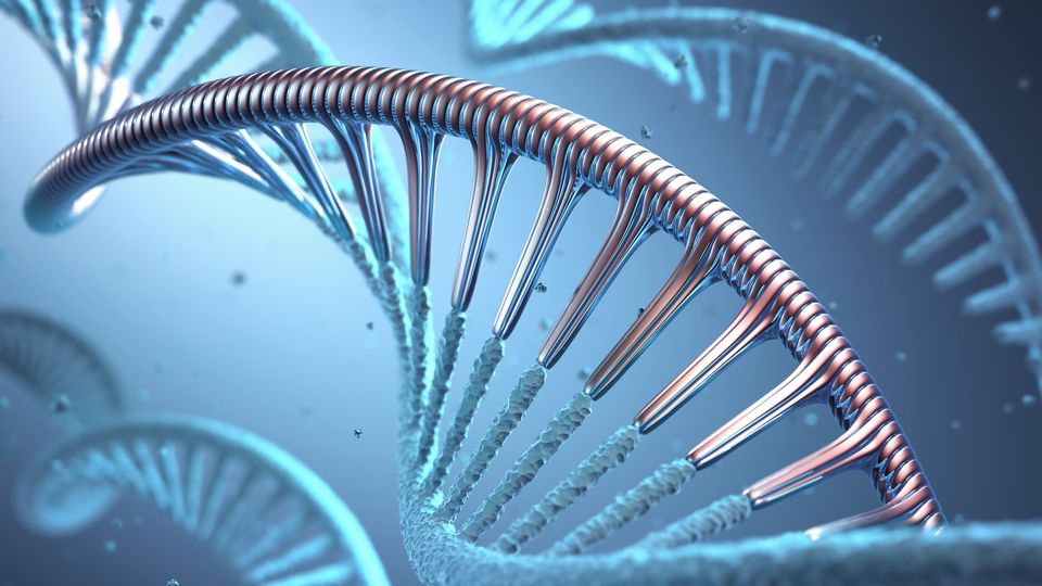 Double helix structure of DNA.