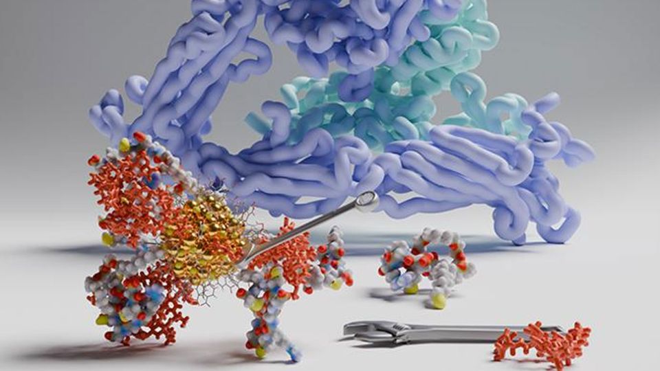 A large protein structure in the background, and a small nanoparticle structure in the foreground.