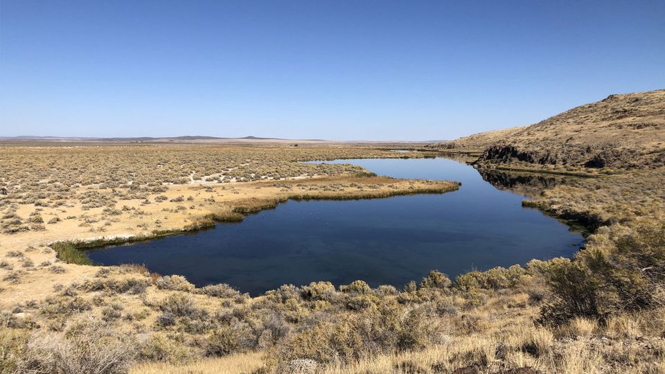 A small spring-fed body of water in scrubland.