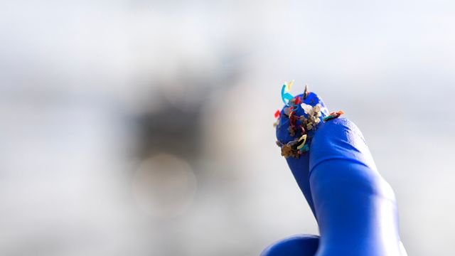 A hand holding small pieces of plastic between their finger and thumb.