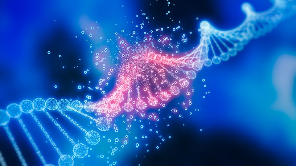 Double helix structure of DNA.