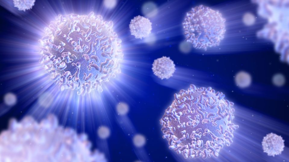 T cells.