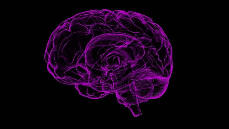 Florescent pink brain illustration of a human brain