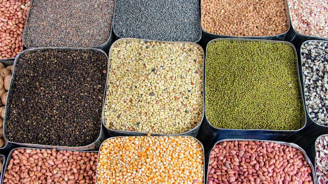 A colorful assortment of spices and legumes displayed at a Nepalese market.