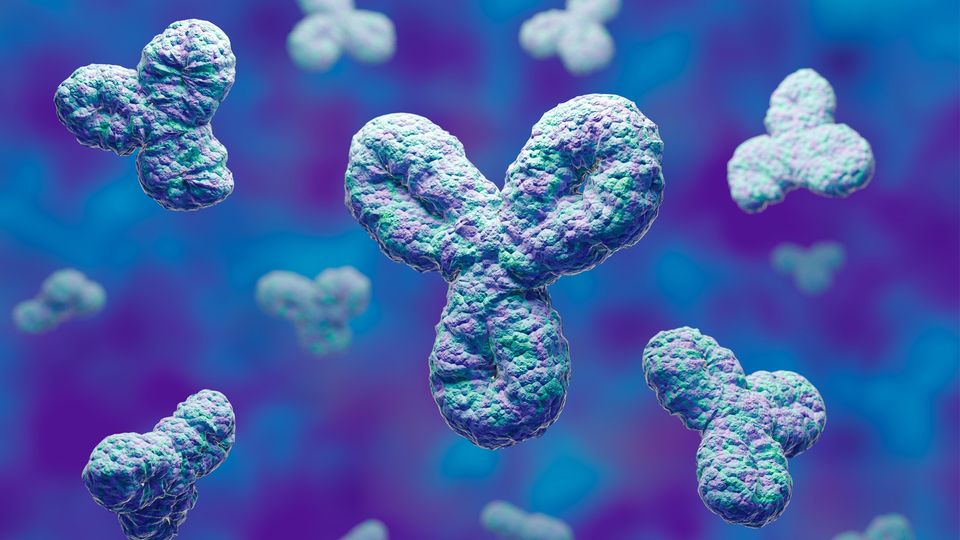 3D illustration of monoclonal antibodies in blue and purple hues, representing biopharmaceutical research.