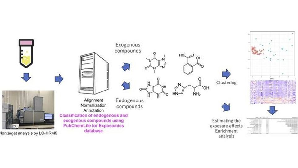 Combined advanced statistical techniques with chemical analysis to detect a wide range of chemicals present in human serum and assess their potential effects on health.