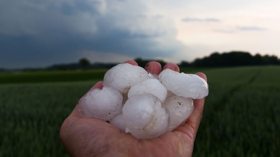 Giant hailstones being held in a hand with countryside in background