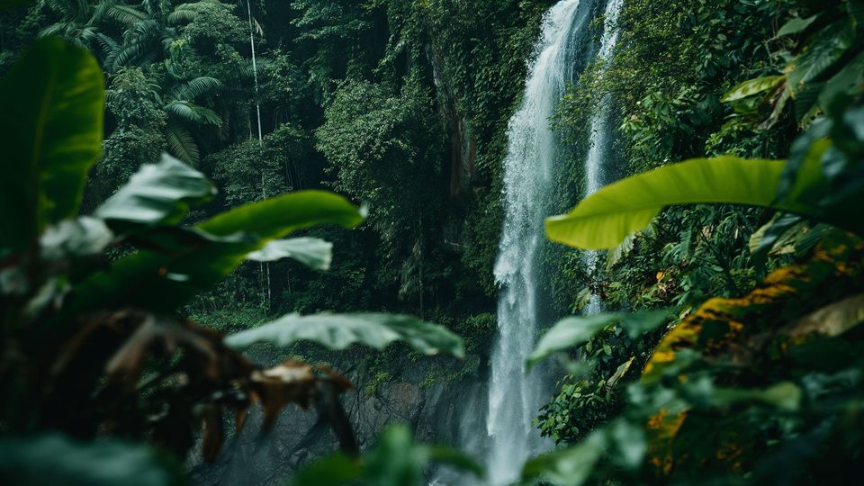 Waterfall within a rainforest