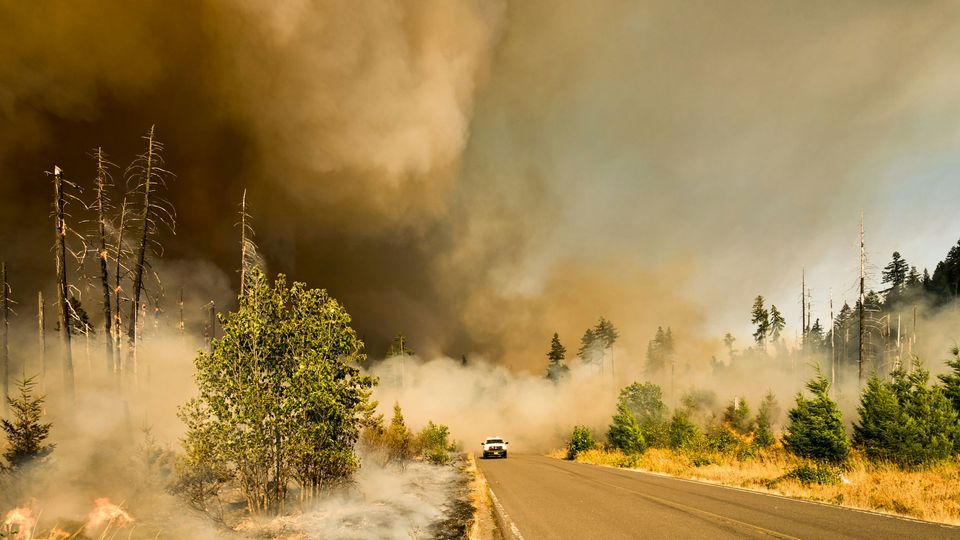A police car drives along a road, with smoke billowing from the surrounding trees.