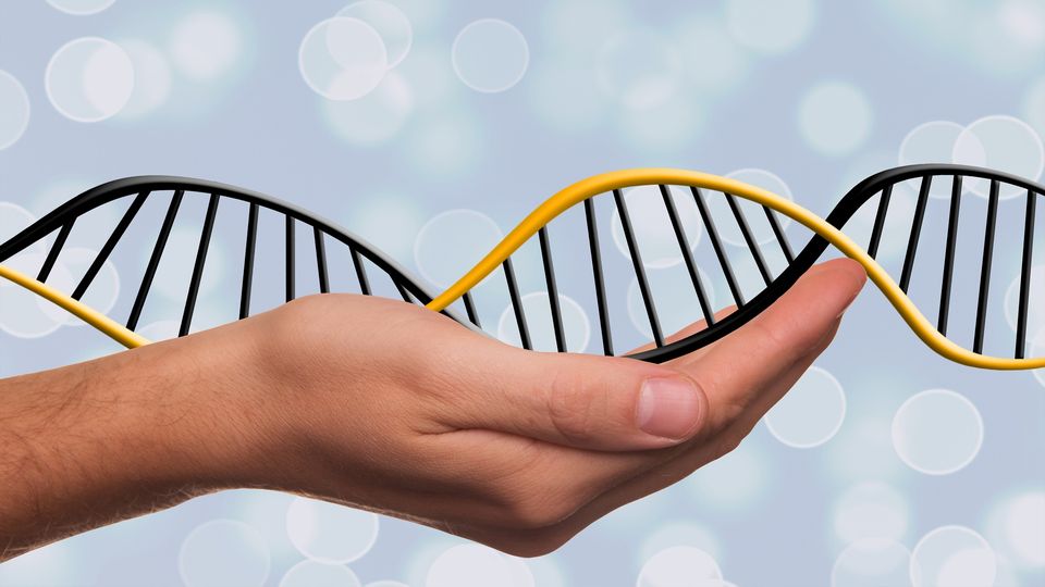 DNA double helix being held in an upturned, cupped hand.