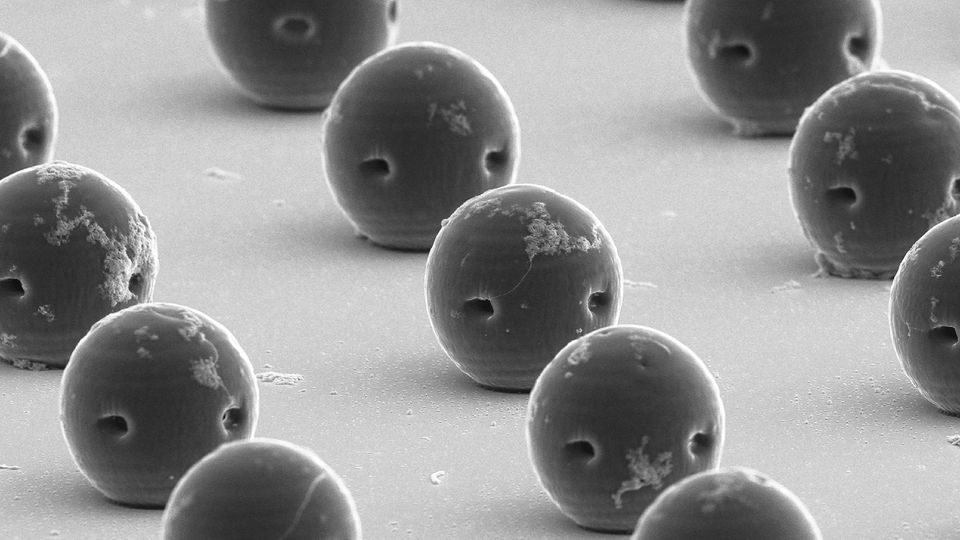 Scanning electron microscope image of Caltech's printed bioresorbable acoustic hydrogel microrobots.