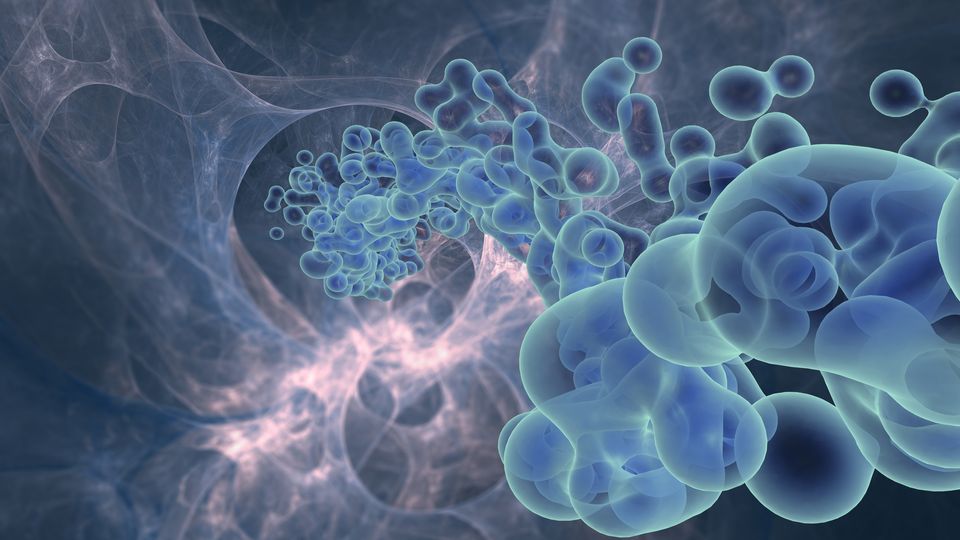 Abstract visualization of molecular structures depicting cell signaling pathways in blue and green tones.