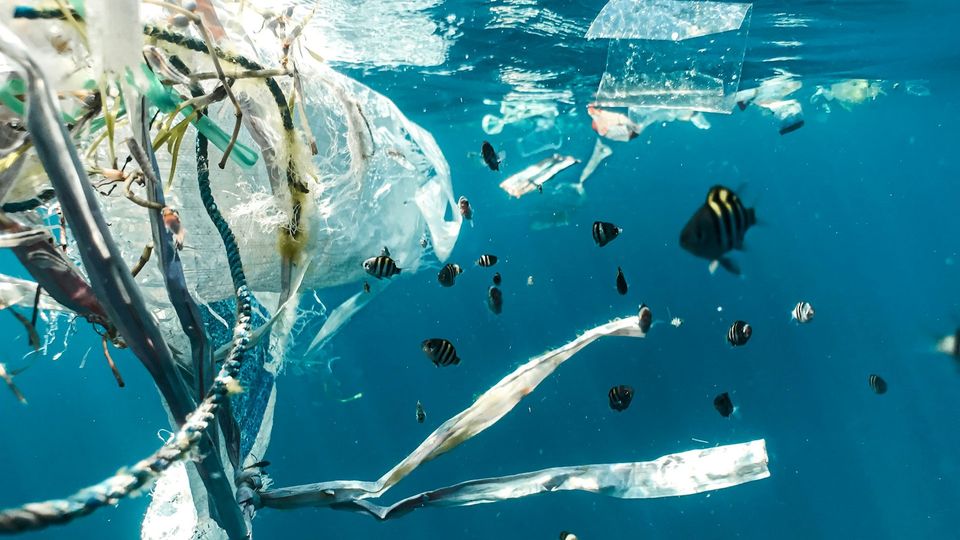 Plastics in the ocean with some fish nearby,