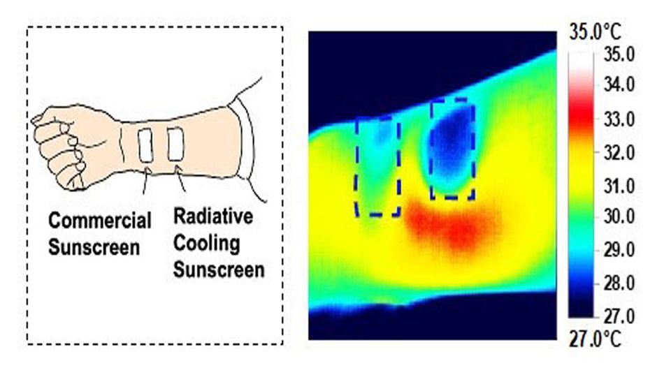 A new SPF 50 sunscreen prototype uses radiative cooling to both protect the skin from UV rays and cool it off.