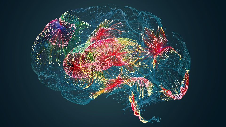 Sleep Apnea Linked To Larger Hippocampus Technology Networks Sleep Apnea Linked To Larger Hippocampus Technology Networks
