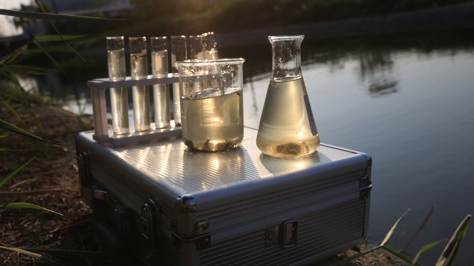 Water samples in a rack of test tubes and two beakers.