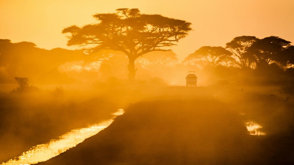 Amboseli national park, Kenya.