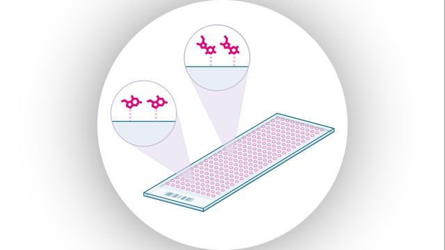 Small molecule library-on-a-chip showing chemical structures attached to a microarray surface.