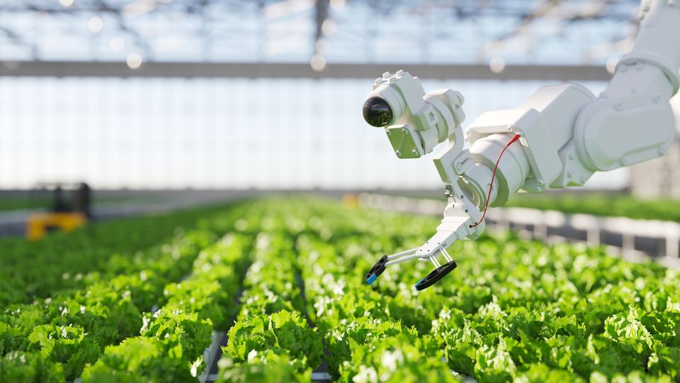 Camera and robot implement over crops indoors.