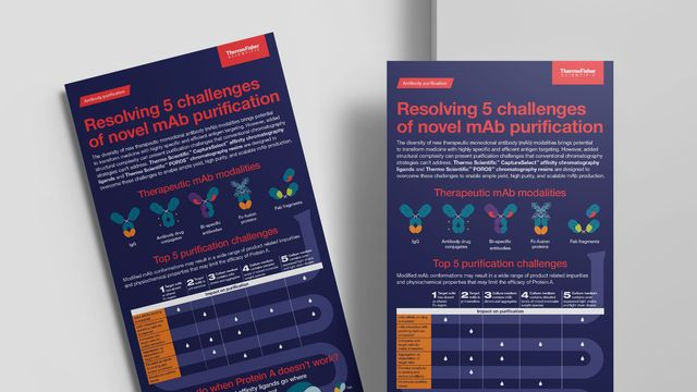 Infographic highlighting the top challenges in monoclonal antibody purification and solutions using Thermo Scientific technologies. 