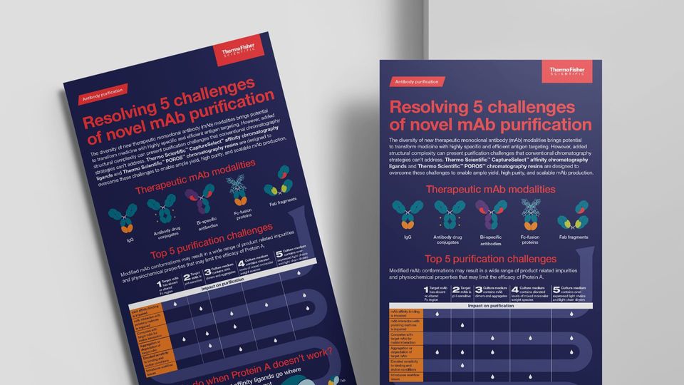 Infographic highlighting the top challenges in monoclonal antibody purification and solutions using Thermo Scientific technologies.