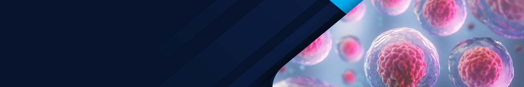 Innovations in Disease Modeling 2025 