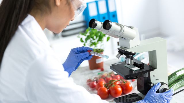 GC-MS Solutions for Food and Environmental Testing | Technology Networks