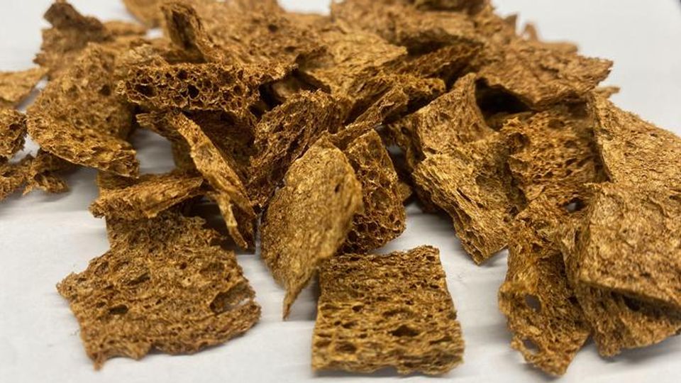 The sponge, coated with nanoparticles that have an affinity for pollutants.