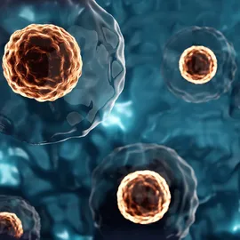 3D-rendered illustration of stem cells with glowing orange nuclei suspended in a fluid environment