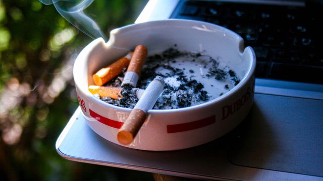 buy cigarettes in wholesale Newport Cigarettes Supplier