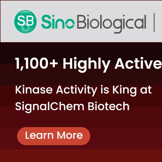 Comprehensive Range of Active Kinases 