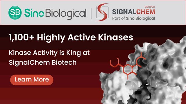 Comprehensive Range of Active Kinases